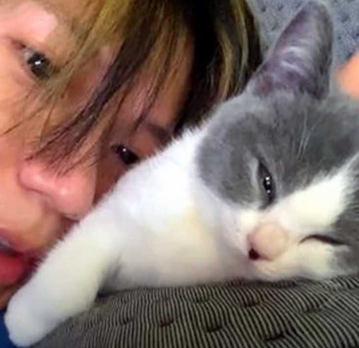 テミンが飼ってる猫の名前や意味を調査 猫吸いの動画も集めてみた Mio Channel