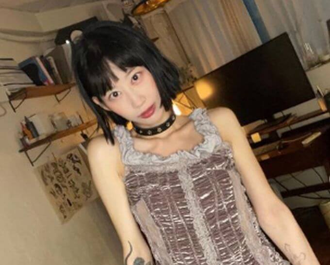 ラクタノンのリーフレット